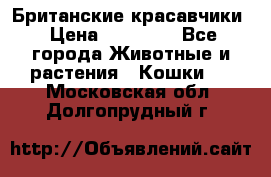 Британские красавчики › Цена ­ 35 000 - Все города Животные и растения » Кошки   . Московская обл.,Долгопрудный г.